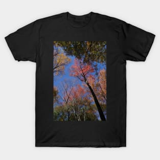 New England Foliage Feast T-Shirt